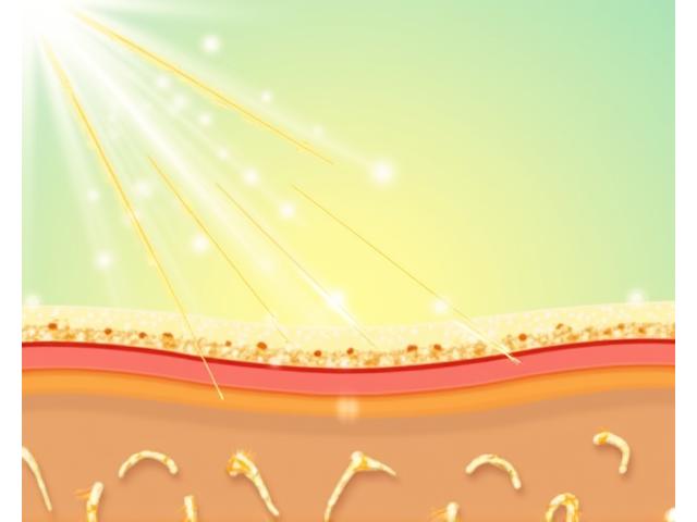 肌の上でミネラルUVフィルターが紫外線（太陽光）を跳ね返している様子を視覚化した図。